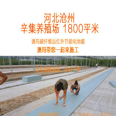 河北滄州辛集養(yǎng)殖場